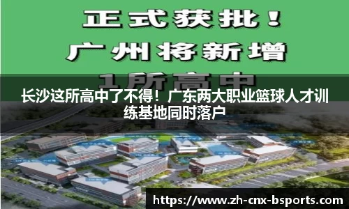 B体育官方网站